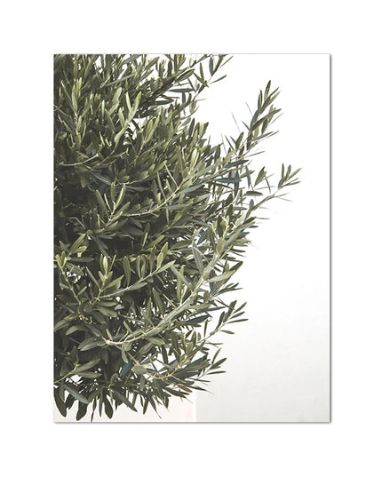 Italy Ancient Architecture Puglia Photography Posters and Prints Travel Gifts Boho Neutral Wall Pictures Canvas Painting Decor