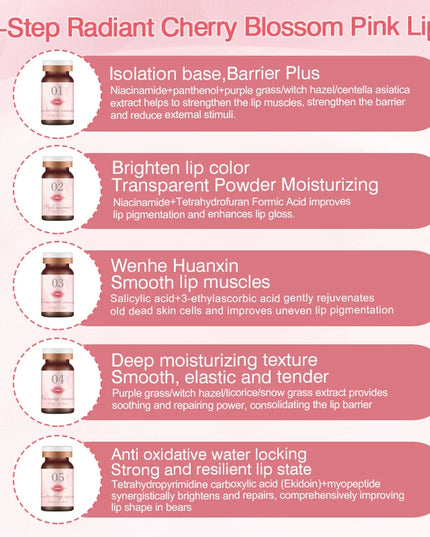 SOBER SKIN BB Lip for Permanent Makeup Lip Rose Essence Set 3 Steps Pinking Black Lips Beauty Health Supplies