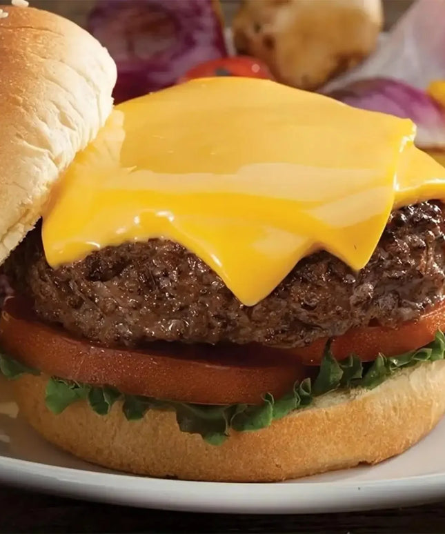 9inch Stainless Steel Oven Squeegee Cover Perfect Barbecue Tools Accessory for Outdoor Camping  Picnics bbq grill  barbeque